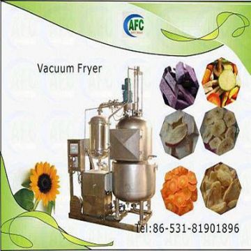 Fruit & Vegetable Chip Production Line